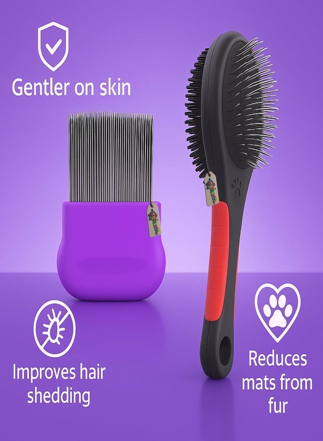 ويستيرن إرا مجموعة العناية بالحيوانات الأليفة من ويسترن إيرا ٢ في ١ للكلاب والقطط | إزالة القراد والبراغيث | فرشاة مزدوجة الجوانب ومشط للبراغيث | مجموعة العناية بالحيوانات الأليفة | إزالة الشعر الزائد وفك التشابك يومياً (عشوائي) - Image 5